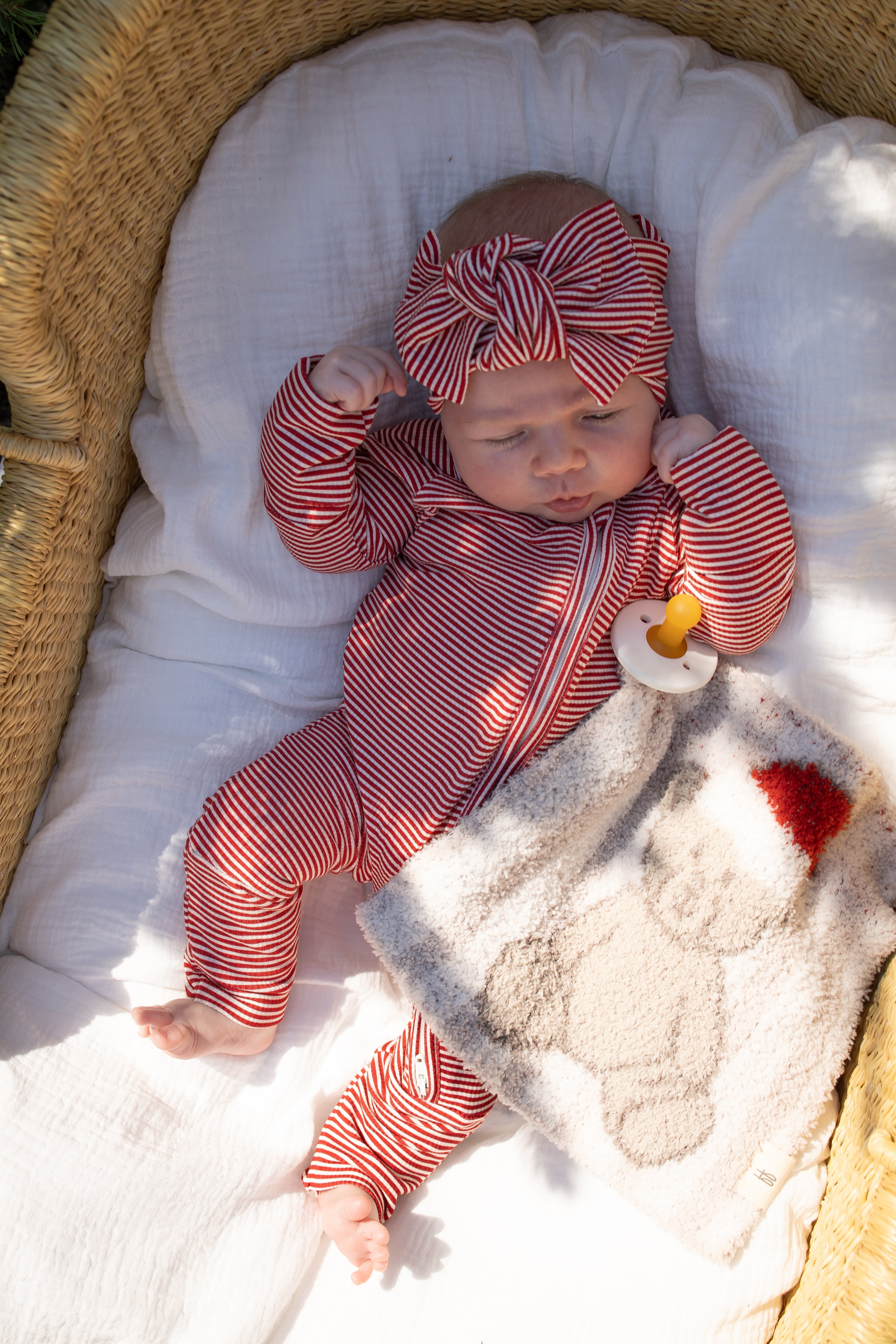 Lovey | Santa Teddy
