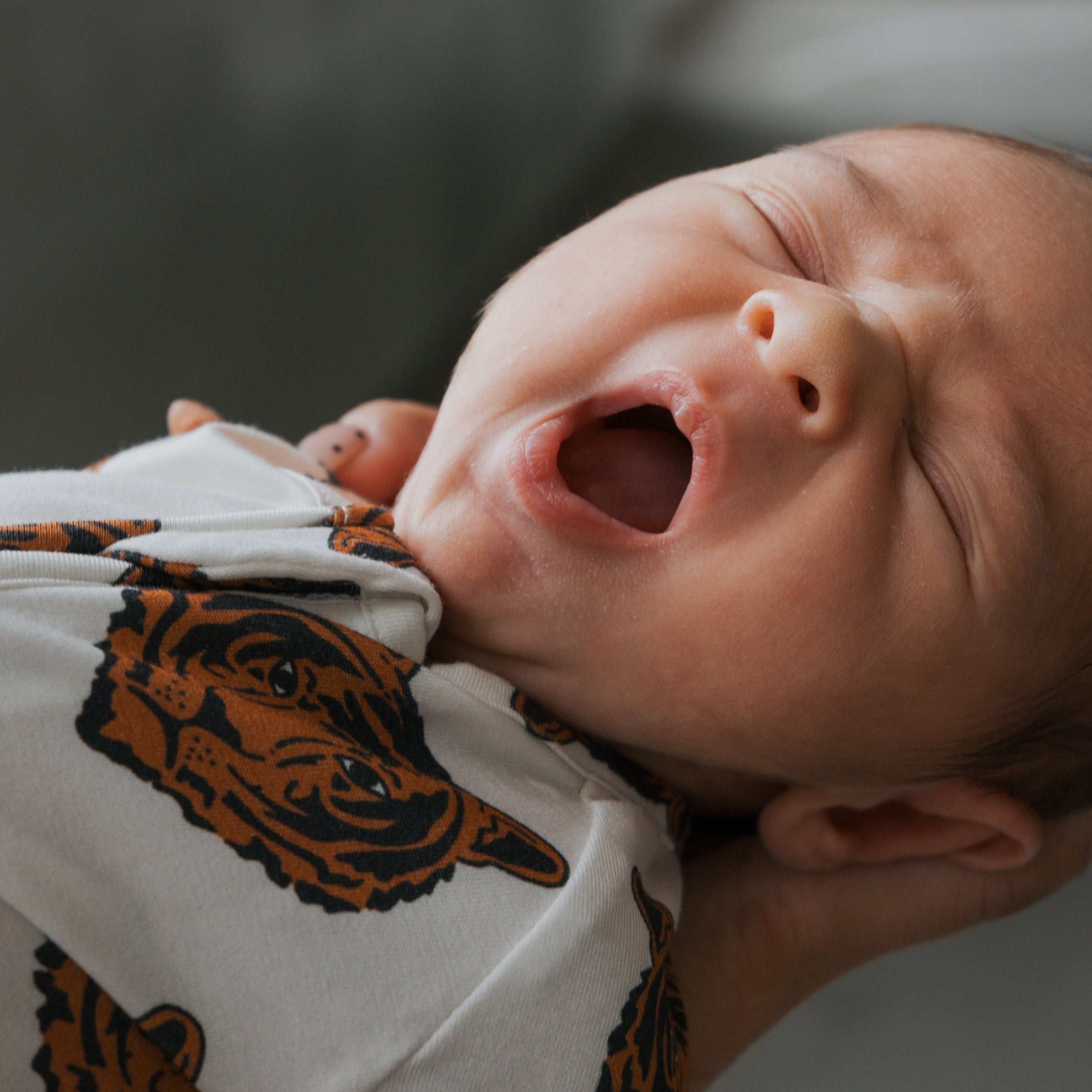 Bamboo Zip Pajamas | Tigers