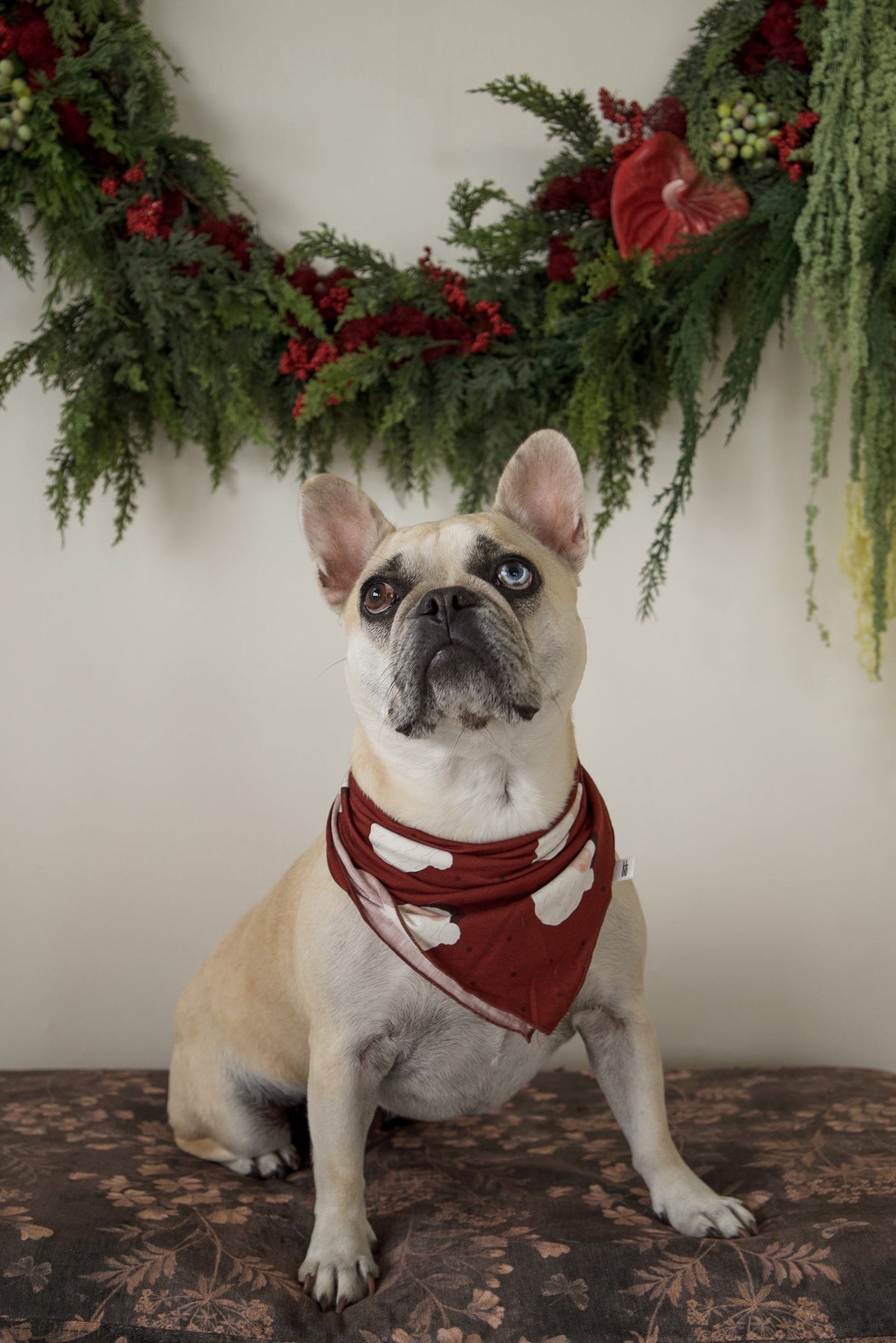 Bamboo Bandana | Vintage Santa
