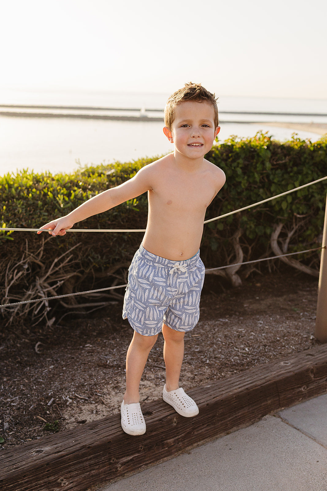 Sardine Swim Shorts