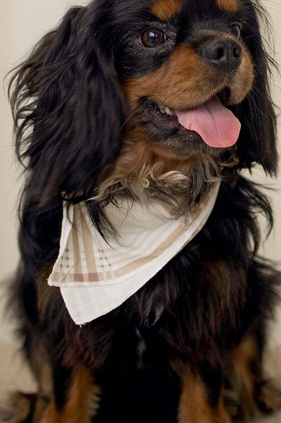 Bamboo Bandana | Ellis Plaid