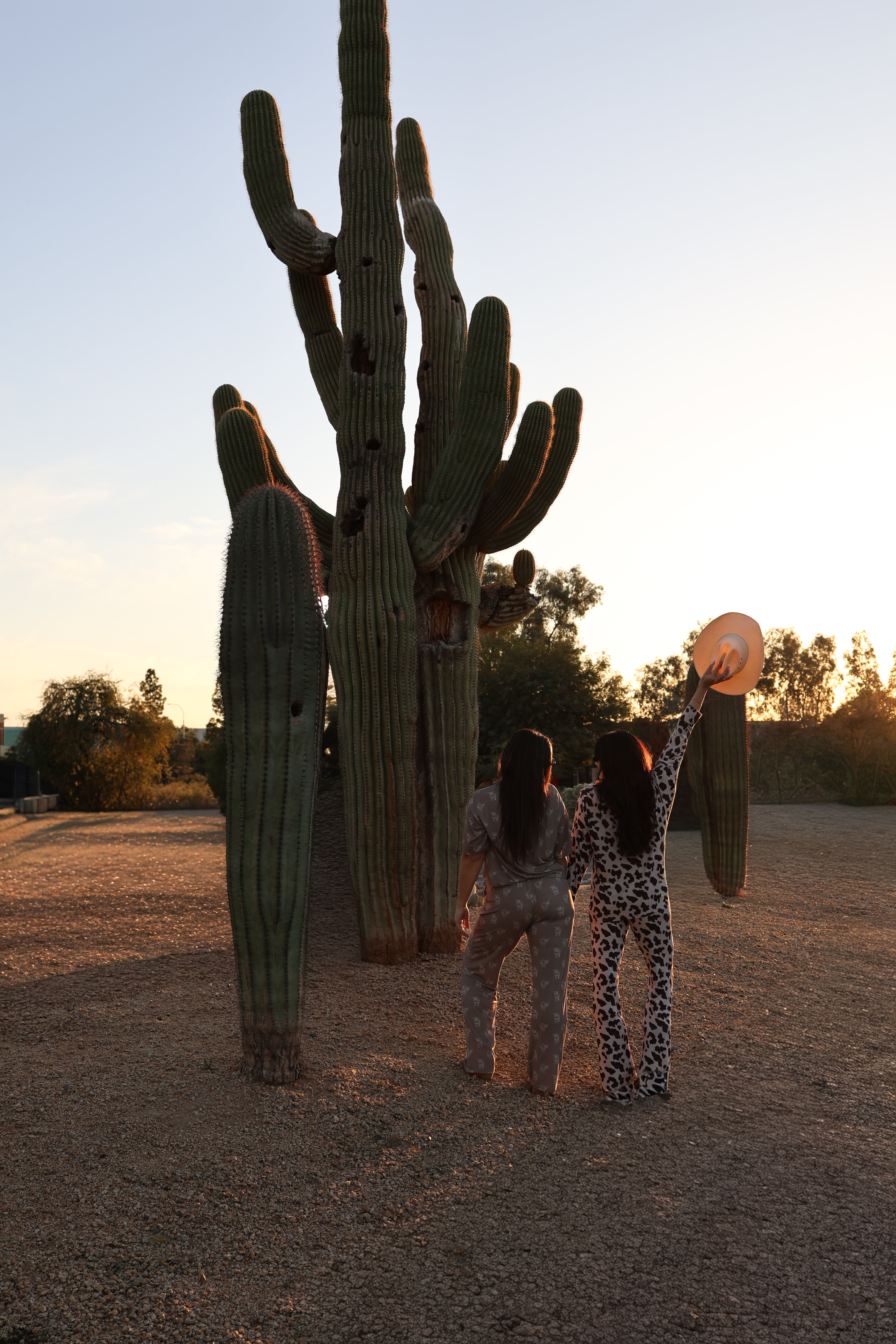 Women's Bamboo Button Up Lounge Set | Moo!