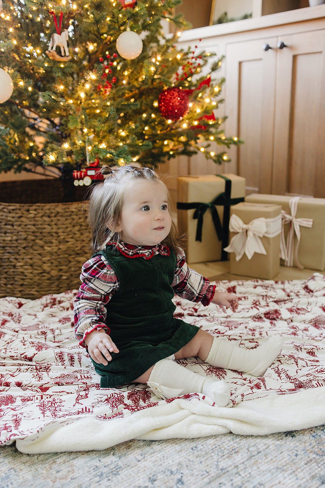 Holiday Toile Bamboo Fleece Quilt