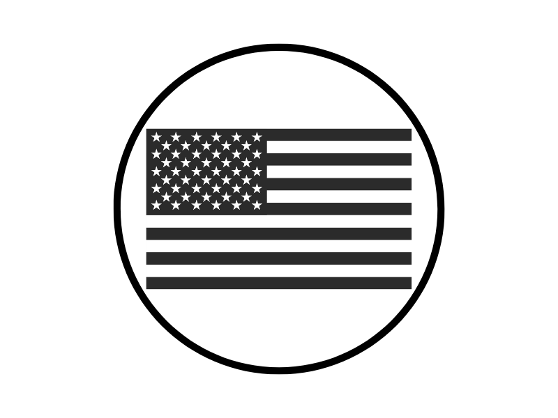 little rad things american flag